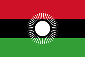 flag-icon