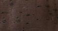 Brown (Bundle)