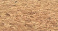 Golden Cork (Bundle)